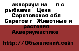 аквариум на 65 л с рыбками › Цена ­ 3 700 - Саратовская обл., Саратов г. Животные и растения » Аквариумистика   